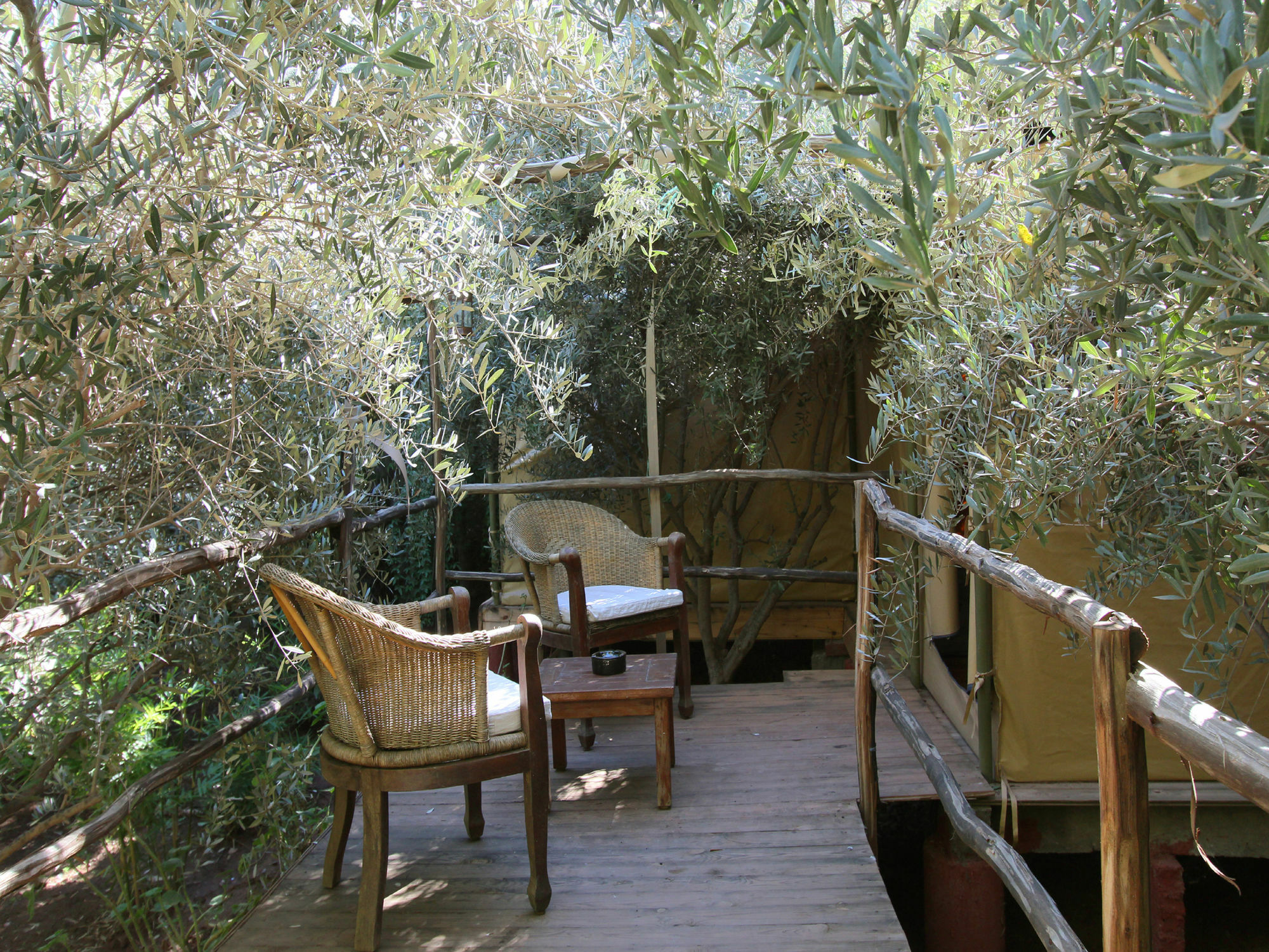 Le Jardin Touagana - Campement & Lodge Touggana Exterior foto
